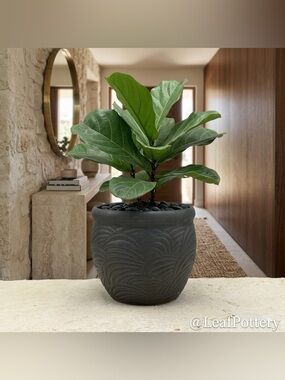 Black Textured Ceramic Planter - 6 Inch Wave Pattern Flower Pot